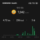 이번주도 만보 걸어뜨(다이소 포켓몬 포토북 띠부띠부씰 보관)