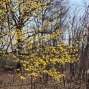 주소 공원 이미지