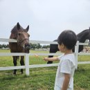 마장도서관 화장실 이미지