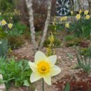 구항면 내현마을회관 이미지