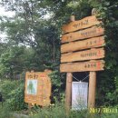 옥룡면사무소 앞 이미지