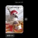 망개떡 먹으면 개망하나요?
