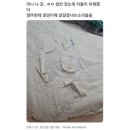 호경 이미지