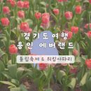 짱경품랜드 | 경기도 여행 용인 | 에버랜드 2026 튤립축제 워킹사파리 평일 웨이팅 후기 주차 꿀팁 총정리