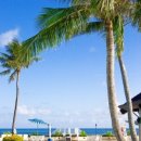 (주)태평양여행 이미지