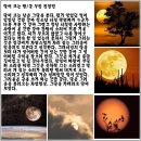 달이뜨는밤