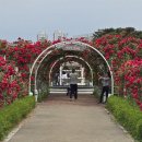 보람동 숲바람수변공원