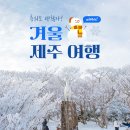 제주도겨울여행 온수풀 숙소 추천해볼게요 이미지