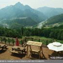 오렌지꽃향기는바람에날리고 이미지