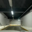 띠아모무인텔 이미지