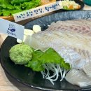 활어보이