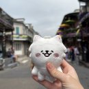 🔥HOT🔥했던 New Orleans, Louisiana 2
