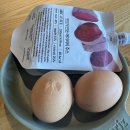 효림유치원 | [10월 4주차] 물만 먹고 가지요