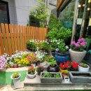 예찬어린이집 이미지