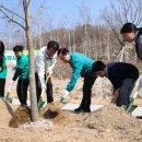 남양주다산중학교 이미지
