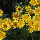 조항경로당 이미지