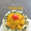 미엘 파티세리 | 속초 케이크 맛집 미엘파티세리 | 픽업 후기