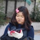 웰빙농원 이미지