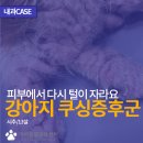 언양동물병원 이미지