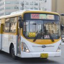 대화교통 이미지