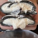 영실농장 | 서울 종로구 | 제주에서 온 크림빵 맛집 &#34;아베베 베어커리&#34; 다녀온 솔직후기