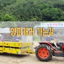 트랙터 타고 밭에서 직접 양파캐기