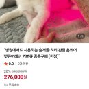 선닥터동물병원 | 강아지 고양이 슬개골 관절 적외선치료 집에서 하는 <닥터펫-펫큐어레이> 후기