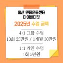 마이바디핏