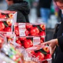 사과꽃필무렵 이미지