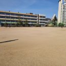 서울인헌초등학교 이미지