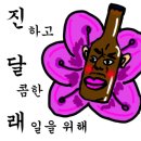 세인트벨 인터내셔날 이미지