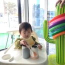 보문 스테이 풀빌라 이미지