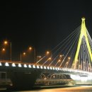 완도13호 이미지