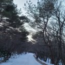 타이어타운서귀포점 | 제주도한라산눈꽃구경등린이가능예약필요없는영실코스찐리얼후기