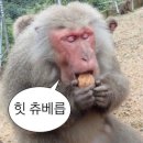 Sheismiae 미애 플리마켓 방문: 옷 피팅 및 모자, 가디건 구매 후기