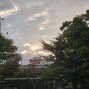 미라클태권도장 이미지