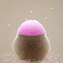 중2동-29 이미지