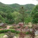 송정자연휴양림 이미지