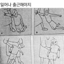룰루투어