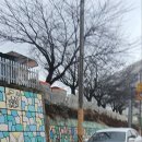 보성남초등학교 이미지