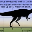 케라토사우루스 이미지