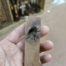 꿈벼락법인 | 주문제작해드린 벽조목 도장