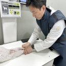 부산 리브동물의료센터 네이버블로그