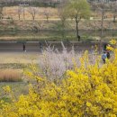 용답도서관 이미지