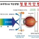 아이플러스안경원 이미지