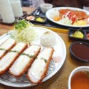 칠금신용협동조합 | 충주 돈까스 터미널 근처 경양식 준경양카츠 리얼 방문기