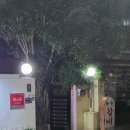 녹원갈비 | 여수엑스포 근처 현지인 추천 로컬맛집 녹원갈비 돼지갈비 토하젓비빔밥 내돈내산