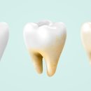 연세다정치과의원 이미지