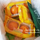 하루방선물의집