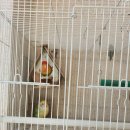 오포원사우나 이미지